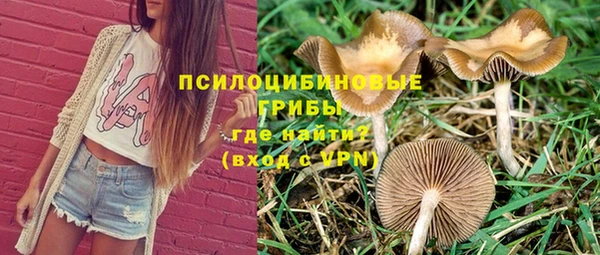 MDMA Premium VHQ Вяземский