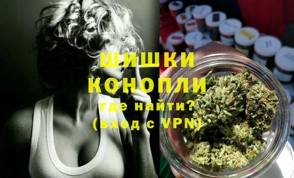 стаф Вязьма