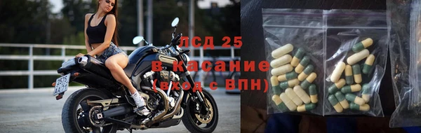 стаф Вязьма