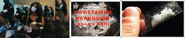 стаф Вязьма
