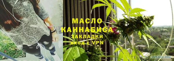 стаф Вязьма