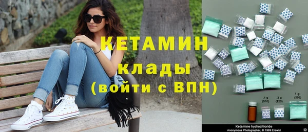 стаф Вязьма