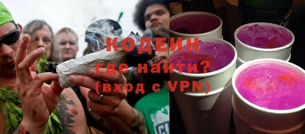 стаф Вязьма