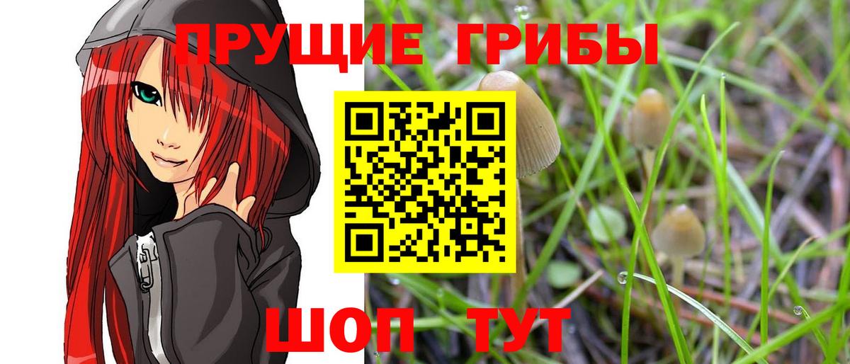 Галлюциногенные грибы мухоморы Чернушка