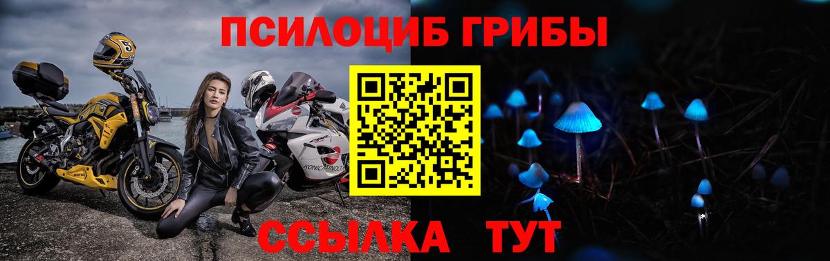 Чернушка  Галлюциногенные грибы Psilocybe  Галлюциногенные грибы мухоморы  Вход с VPN 
