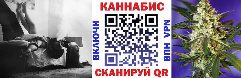 Бошки марихуана MAZAR  Чернушка 